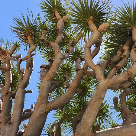 Apartman Great Views & Heated Pool - El Perenquen 4 La Matanza de Acentejo